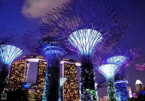 【鳥瞰新加坡】來新加坡必須要嘗試的10件事 之 娛樂活動篇