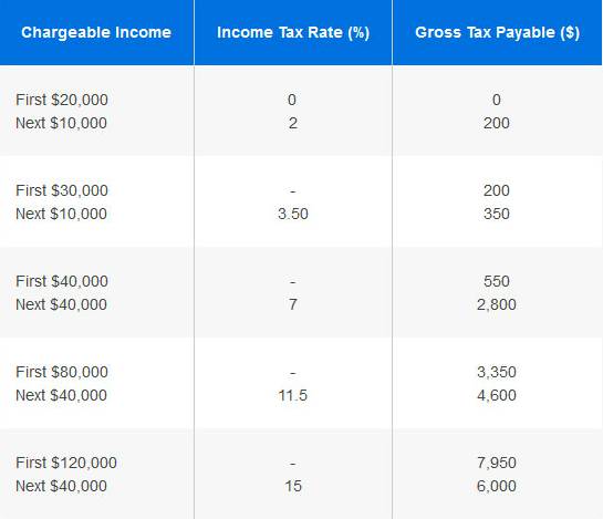獅城百科 一年一度征稅季又來啦! 在新加坡該如何科學合理的申報個人所得稅