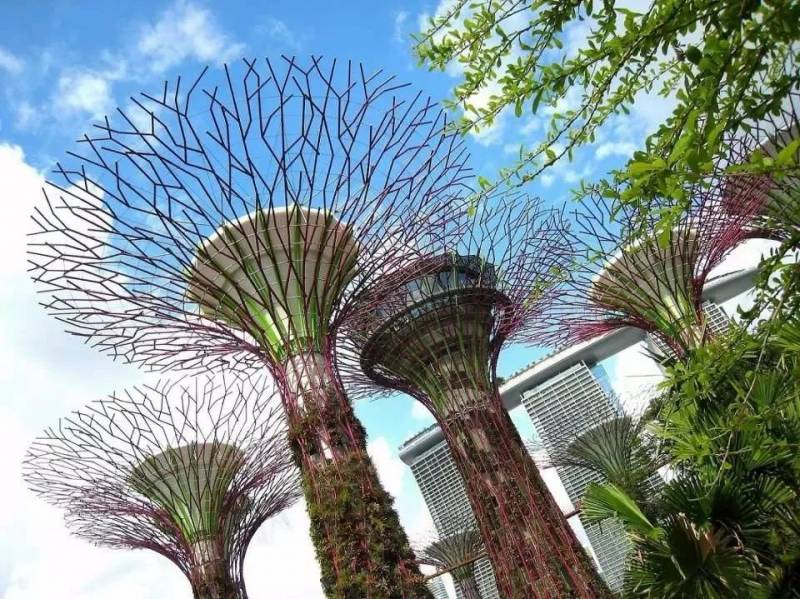 獅城DNA 從荒蕪到花園——新加坡的綠色逆襲之路