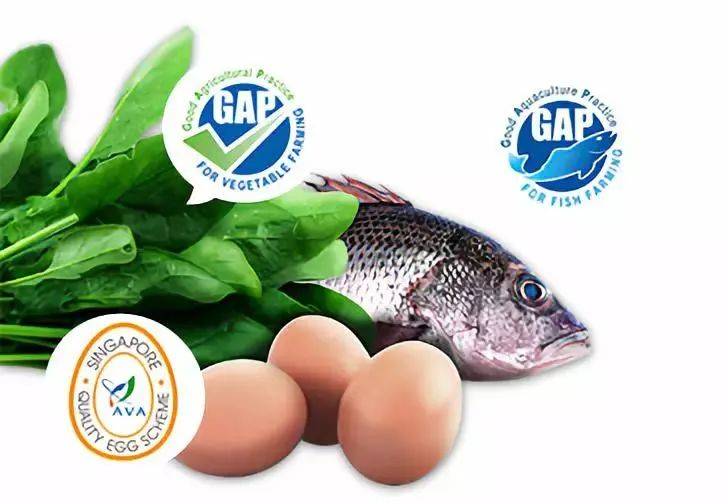 最新報告：新加坡醫療全球第三,日本全球第一,中國第幾