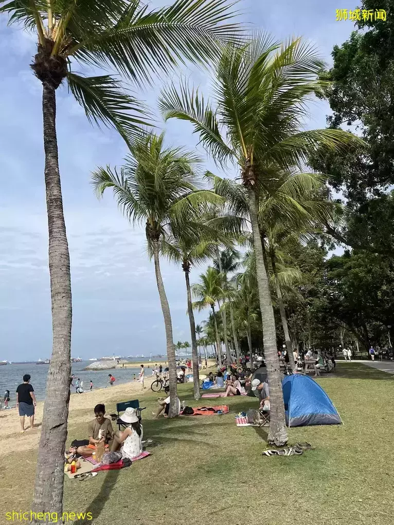 實拍!新加坡長周末人擠爆!在泰國、馬來西亞遭搶劫、被偷!網傳中國十一將開放出境遊