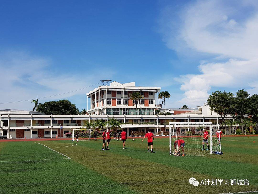 2020年新加坡各初級學院A水准會考成績彙總