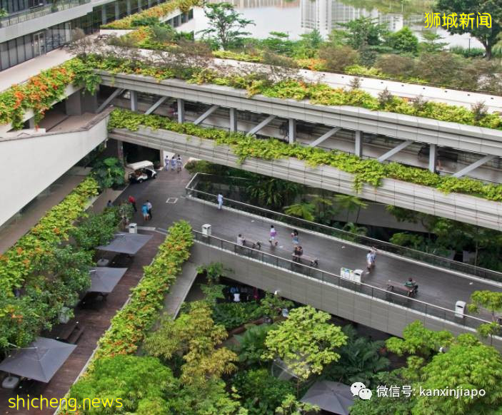 180份乳腺癌报告全错，新加坡医院5名职员遭到处分