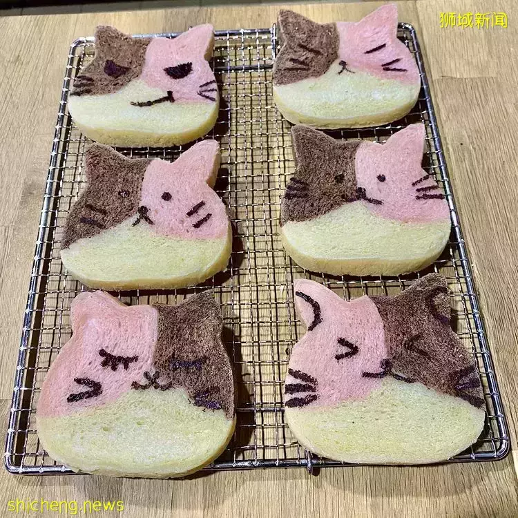 可愛到爆炸的貓咪面包“Cai Mama Shop”😽天然健康的手工吐司，小批量制作，要買要快🛒