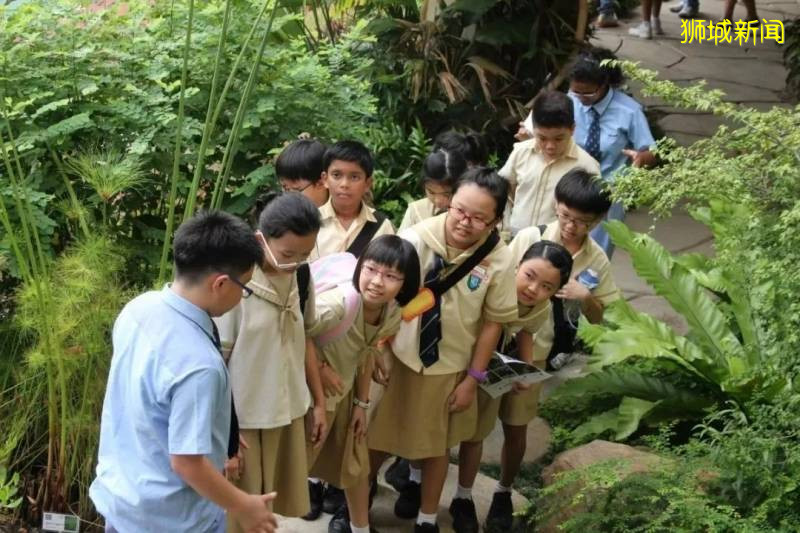 新加坡丨爲什麽會有“花園城市”的美譽