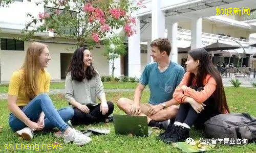 新加坡星级认证大学