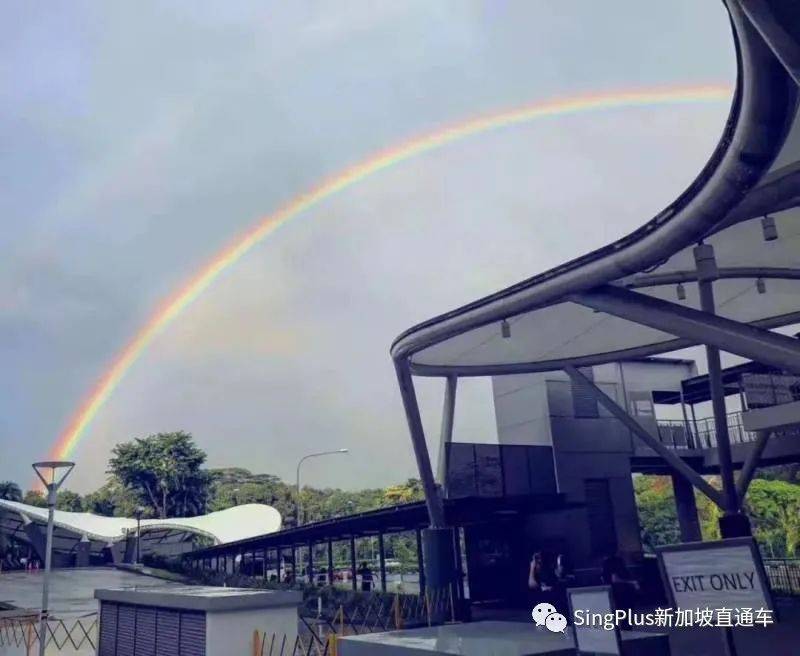 全球多地疫情再次爆發，新加坡憑啥屹立不倒