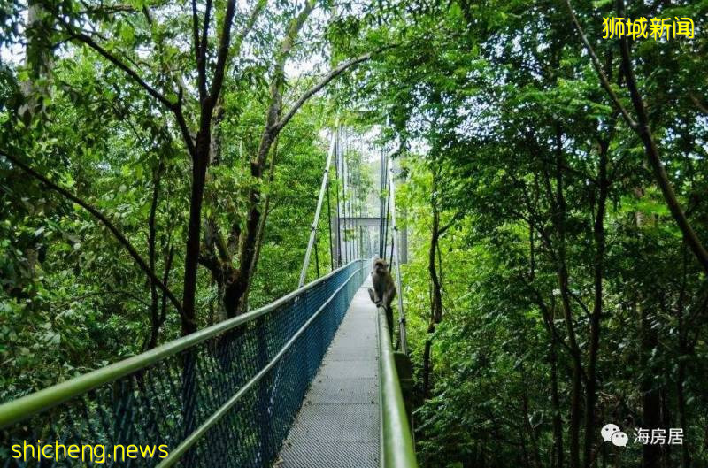 如何辦理新加坡投資移民手續!