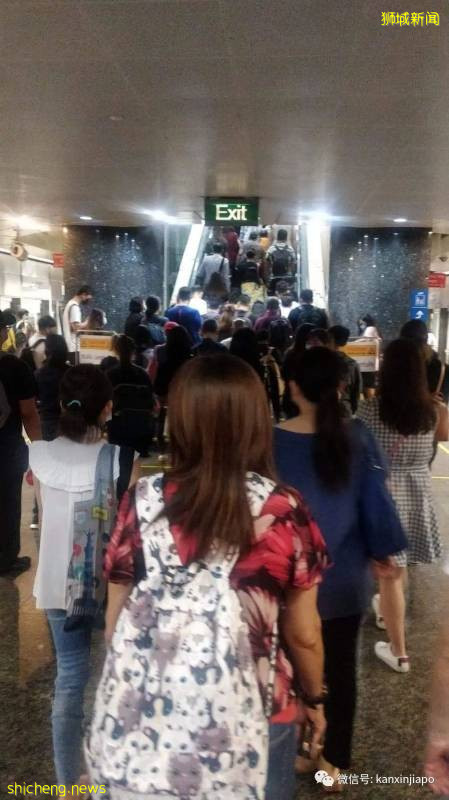 新加坡地铁今早发生故障,大批人潮聚集乌节路站