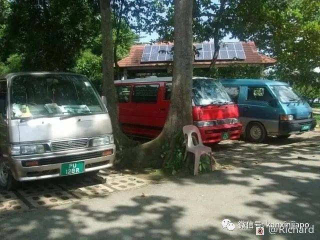 新加坡车牌颜色这么多,你认识几个