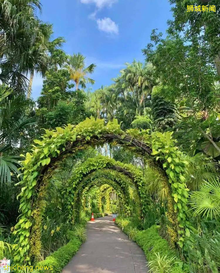 玩在獅城 盤點全島這15個免費景點，讓你玩的省錢又開心