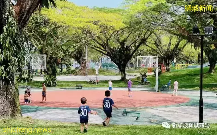 新加坡新政推出即将满一年，这个群体陷入了困境