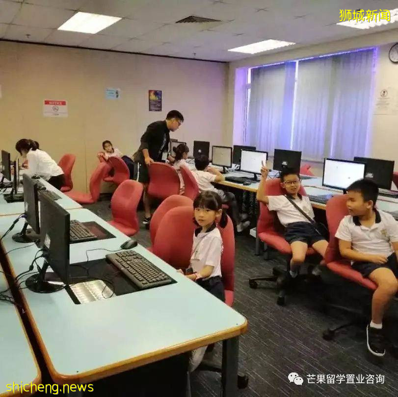 了解新加坡公立/私立/國際學校、理工/藝術/教育模式