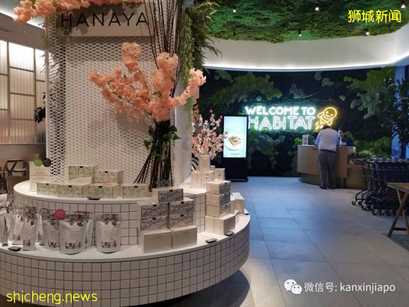 疫情爆发后，新加坡有529餐饮公司关闭!