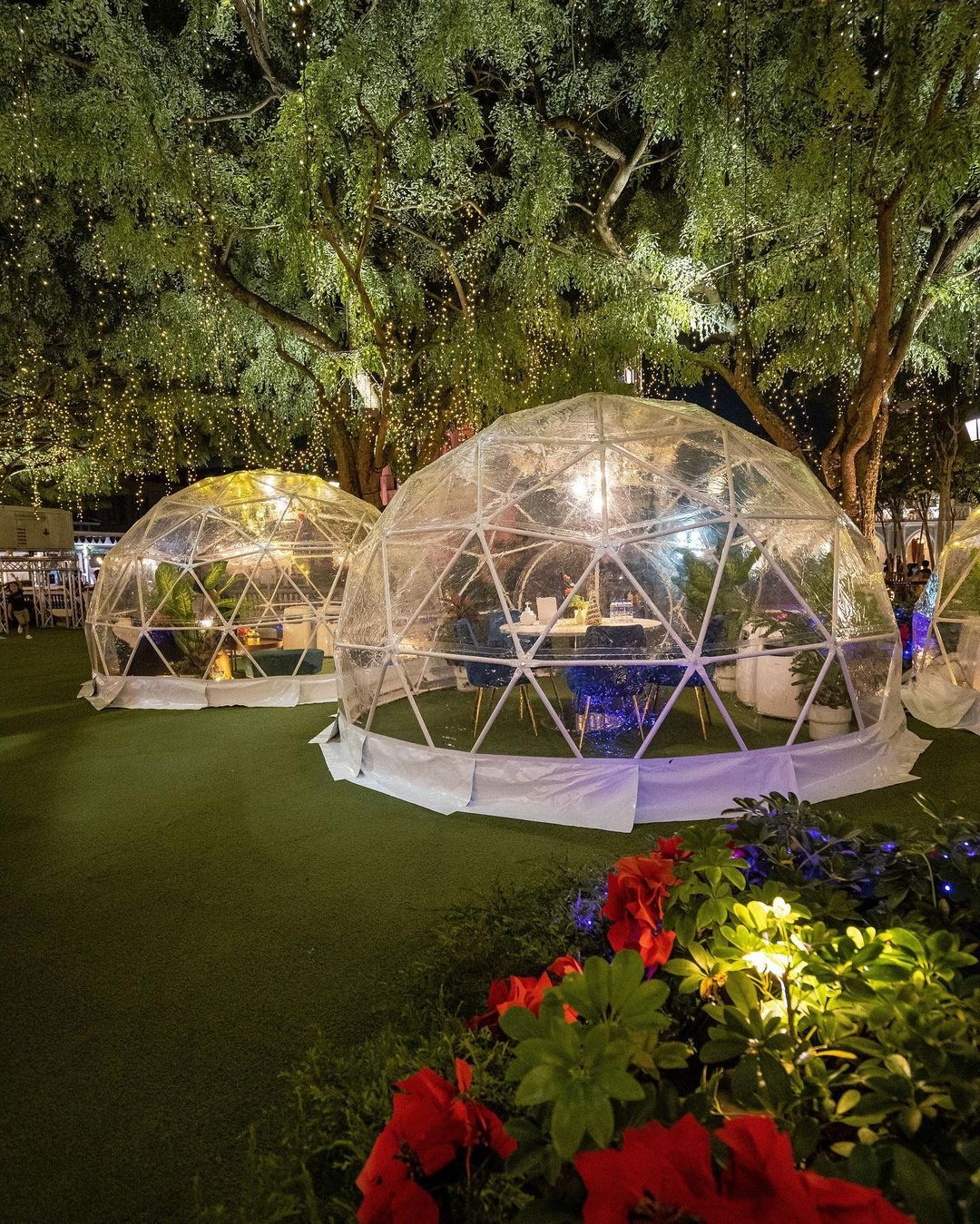 在梦幻透明屋共进晚餐!雪花鲜花星空的极致浪漫