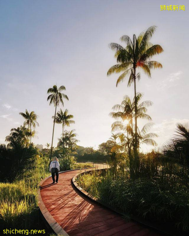 盘点新加坡7大湖泊美景✨静下心感受大自然风景、漂亮程度堪比国外