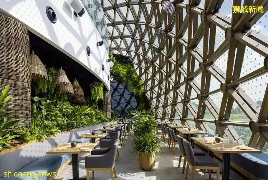 新加坡15间绝美植物主题餐厅,打卡喧嚣闹市里的绿野仙踪