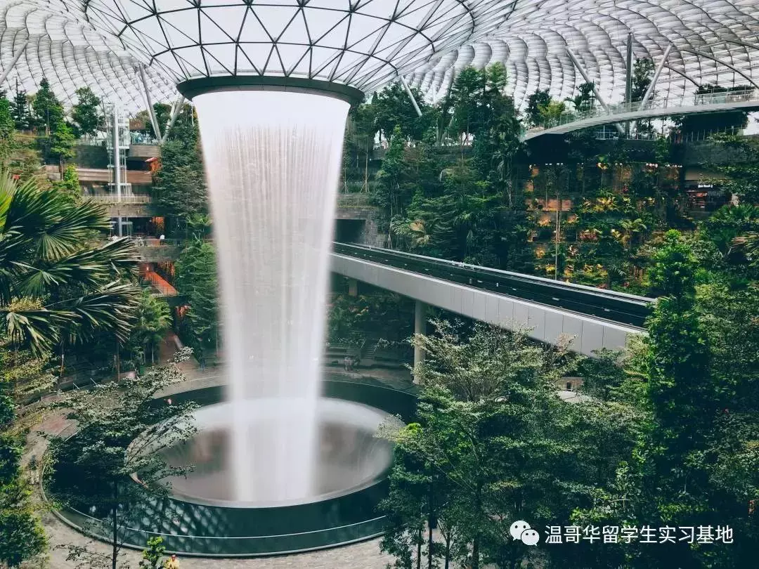 最快回國政策，留學新加坡優勢在哪裏