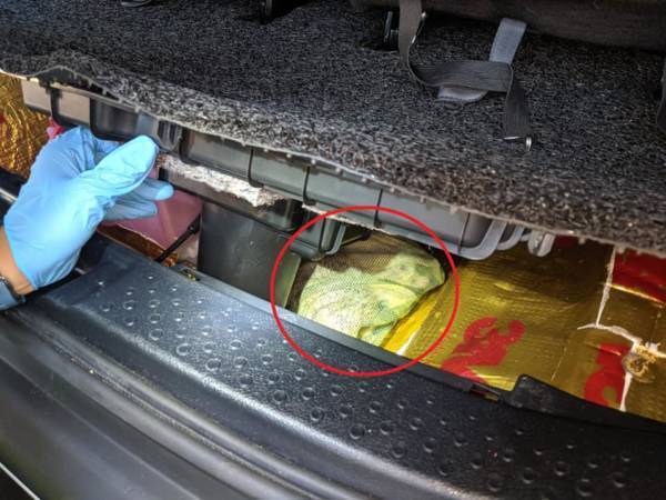 男子入境兀兰关卡 遭执法人员揭穿 后车厢藏2刺猬