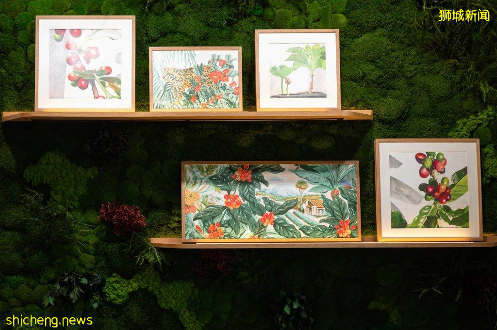 星巴克在Gardens by the Bay内开新店!明亮式设计超有看点