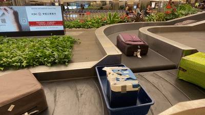 剛剛！新加坡在這方面超過美國和中國，全球第一！美國總統發帖表示不服