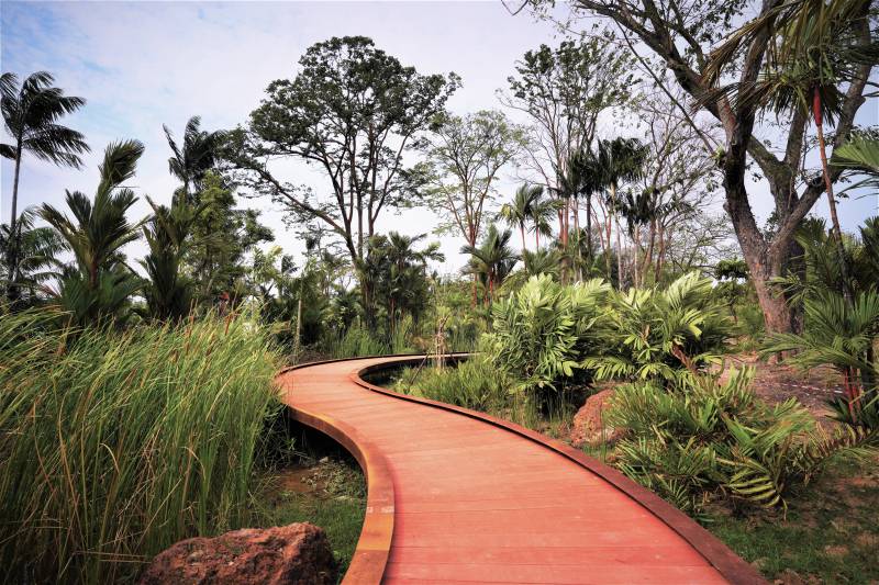 亲近大自然，好玩又免费！盘点新加坡9处沼泽红树林 · 珍稀野生鸟类 + 特有品种植物 + 漫步木质走道 · 简直就是大自然爱好者必打卡的圣地