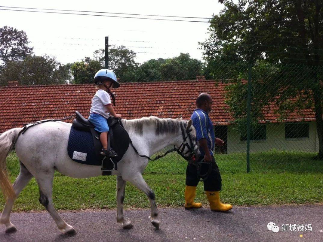 新加坡30多間孩子喜歡的餐廳，自帶免費遊樂場！樹屋、蹦床、攀岩、秋千都有（下）