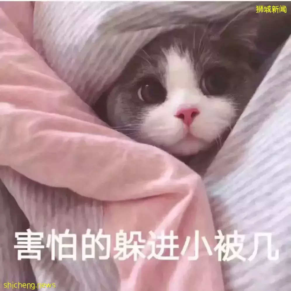 “一个疏忽,我7岁女儿在新加坡差点被烧死...”