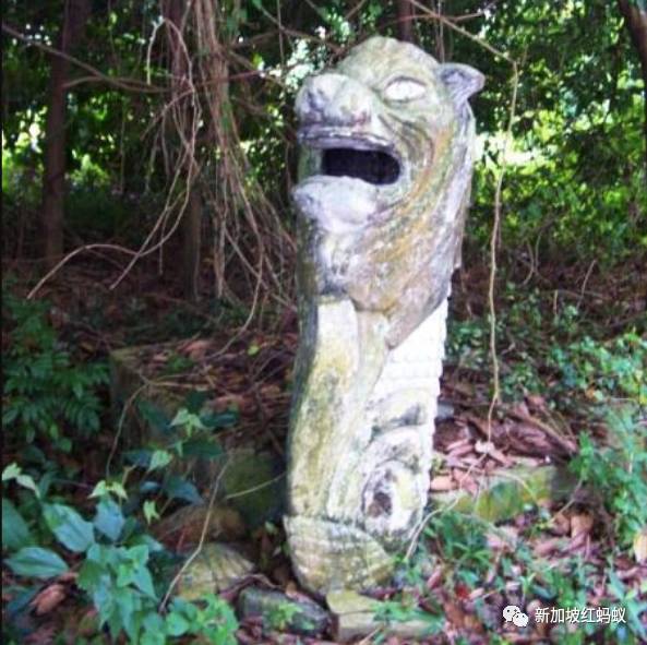 日本和歐洲也有魚尾獅? 它比你我知道的還要神出鬼沒