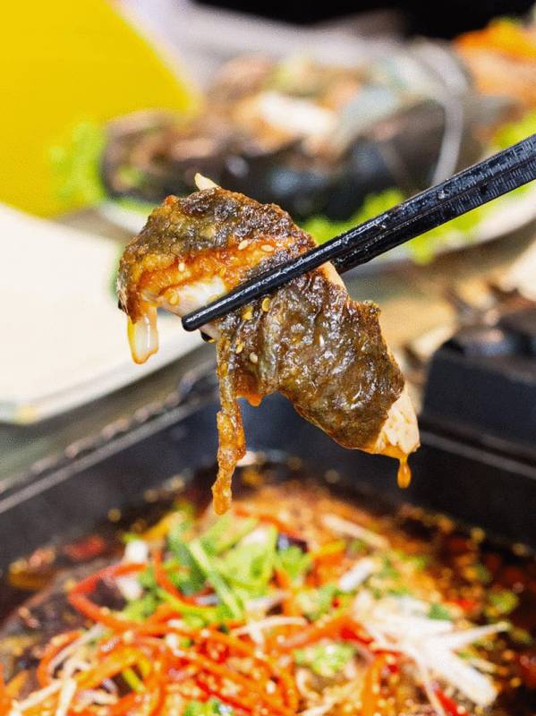 吃火锅自助就送烤鱼！好来屋年终劲爆福利已上线