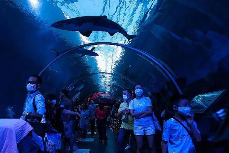 “重新探索新加坡”消費券一個月兌換3590萬元，新加坡旅遊局擬推出更多旅遊項目