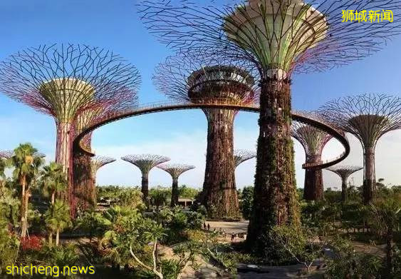 新加坡最全旅游攻略