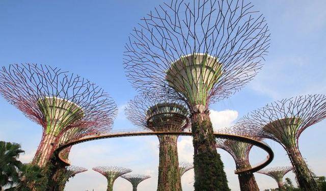 新加坡必看景点，世界上最好的动物园vs超级树，你想看哪个
