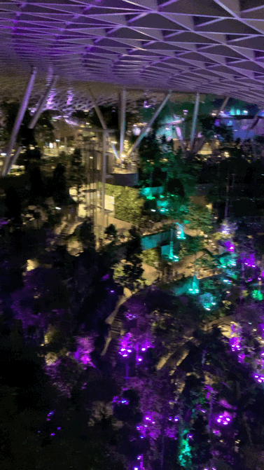 橫跨全島,我娃也要到這裏來玩,這個新加坡最佳遛娃地到底有什麽魅力