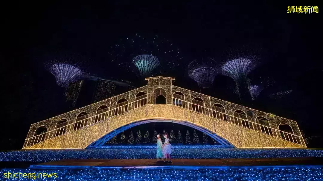 新加坡滨海湾花园一年一度圣诞仙境闪亮登场！花穹岁末花展带你走进童话世界