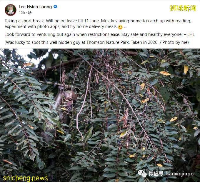 李显龙总理放假5天！“期待条例放宽后，再到户外走走”