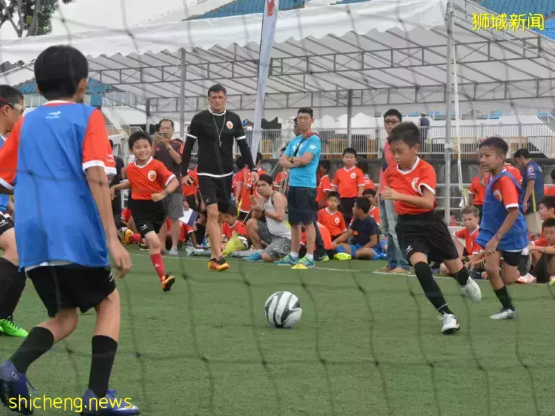 新加坡最火的足球學校有哪些？這18間全都給你找好了