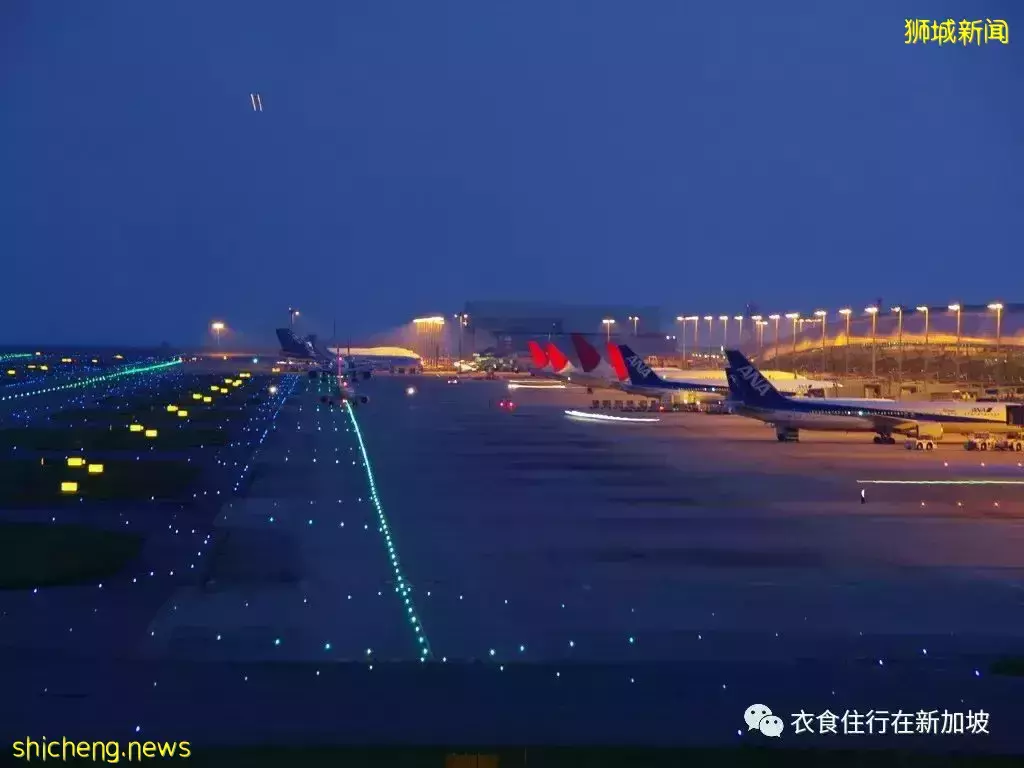 人人抢代购!新加坡飞往中国的机票天价