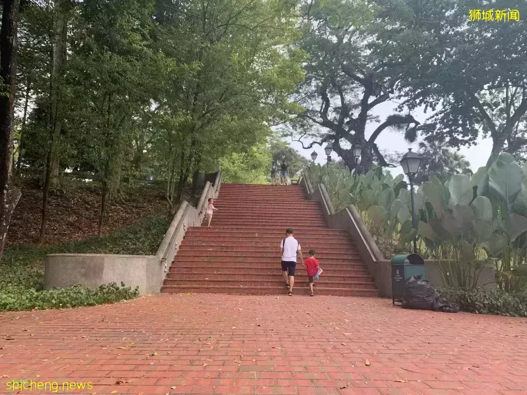 INS最火爆的新加坡公園,竟然還藏著一個超好玩的兒童遊樂場