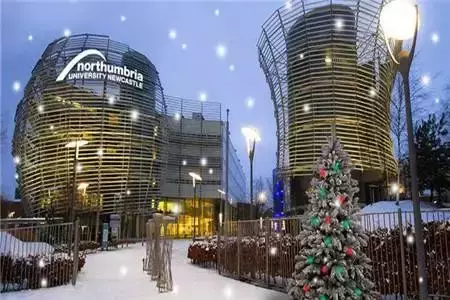 在新加坡上學，拿歐美名牌大學文憑