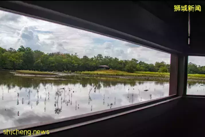 《即刻隨心所想，心想獅城》新加坡生態遊系列2