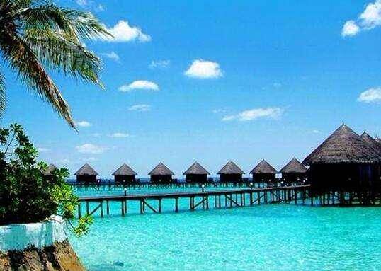 中国金融科技巨头云集“狮城”,新加坡“磁力”从何而来