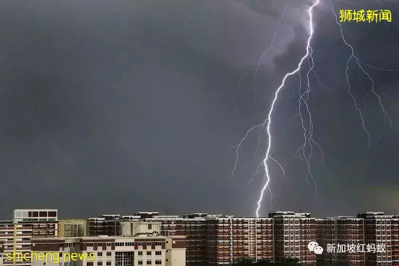 被稱爲全球“閃電之都”的新加坡　半小時內落下40道閃電