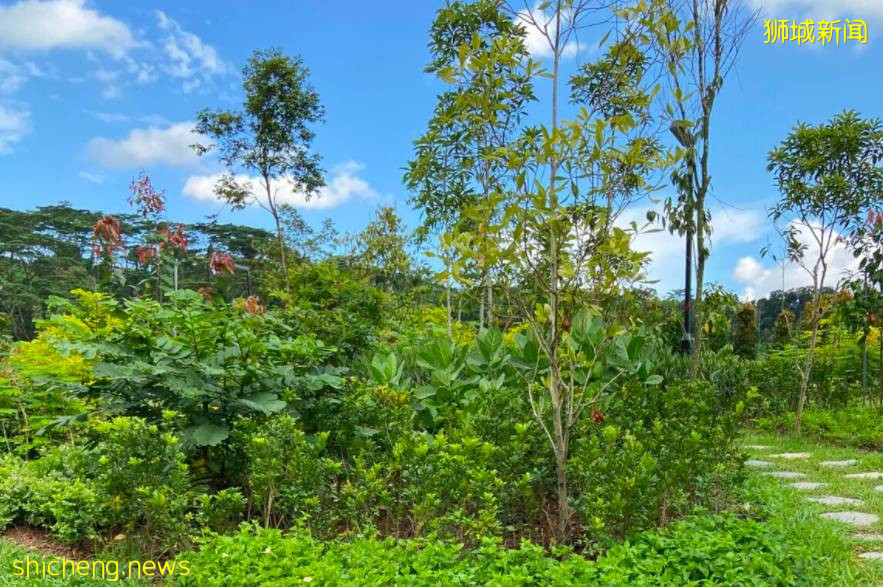 坡島9月活動速遞!冰激淩博物館!Epigram快閃書店!美食節回歸,一起嘗遍本地美食