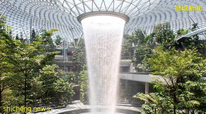 新加坡旅游局 x ABC Cooking Studio 对这座花园城市狠狠“新”动了