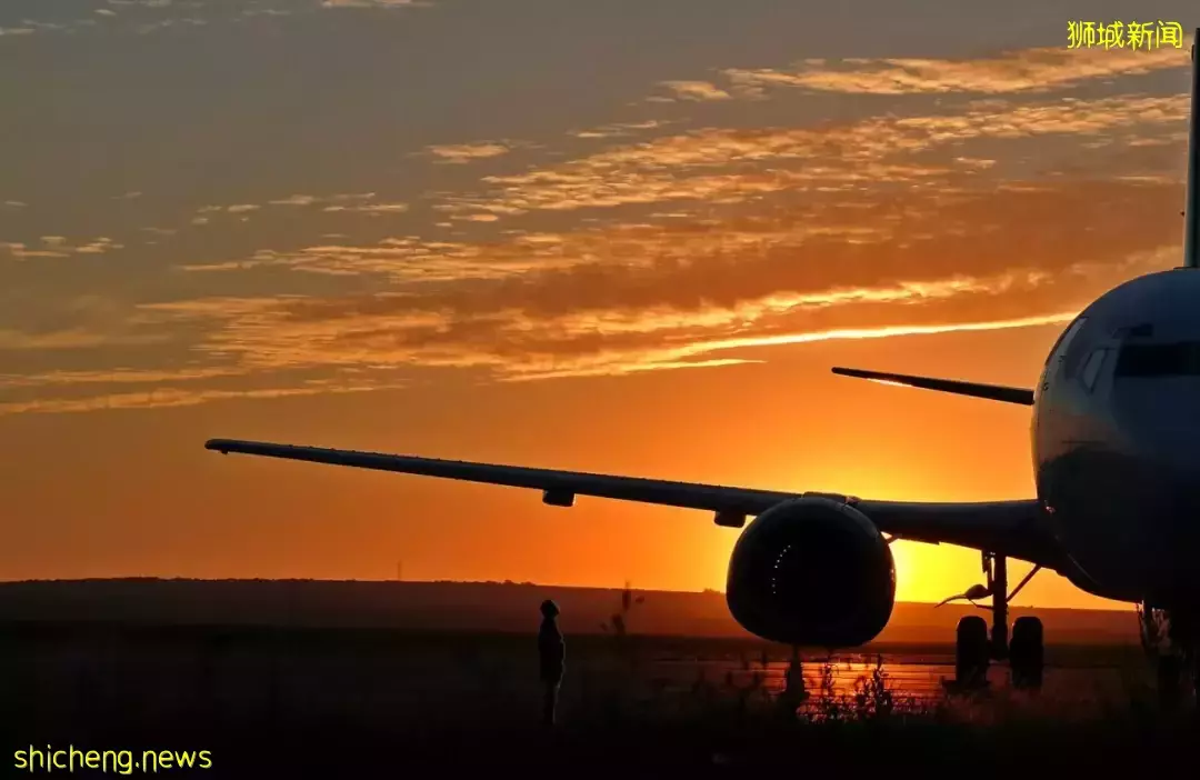 “我的新加坡整牙记:搬家、拒诊、贵……找个满意的医生好难!”