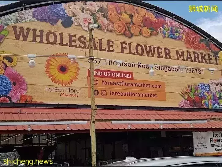 鮮花在熱帶也能養1個月？資深花友新加坡買花、養護大揭秘