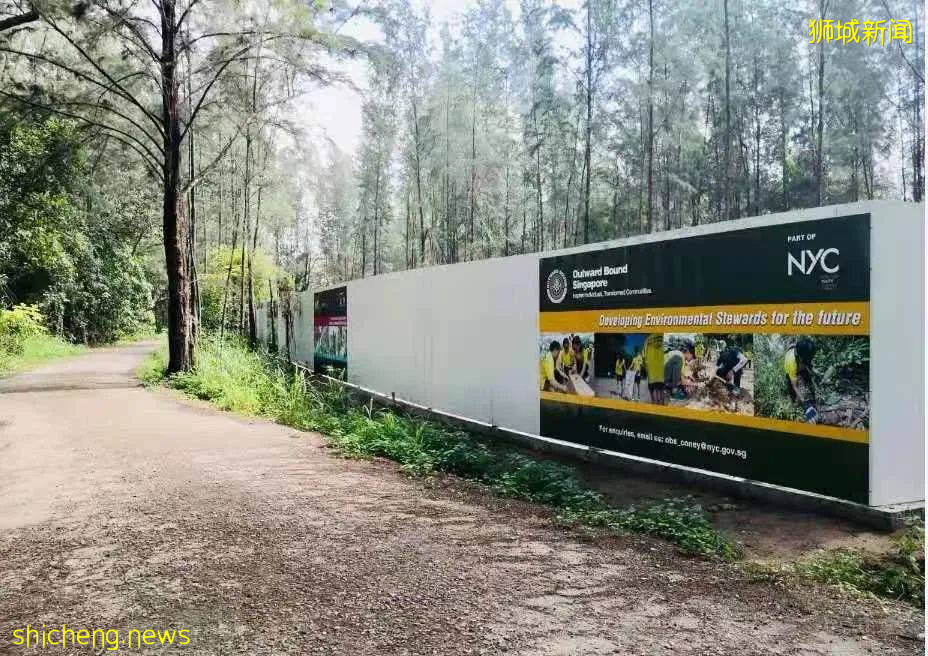 新加坡外展训练中心将在科尼岛建新校区,被指影响自然和野生动物