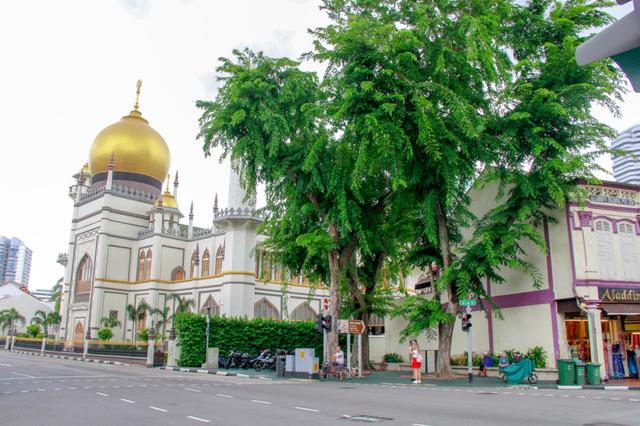 林俊傑做形象大使,周傑倫念念不忘,新加坡有什麽好玩?