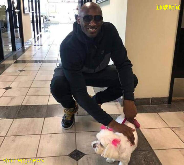 新加坡“暖男”警员救下小黄鹂走红，网友：希望自己是那只小黄鹂